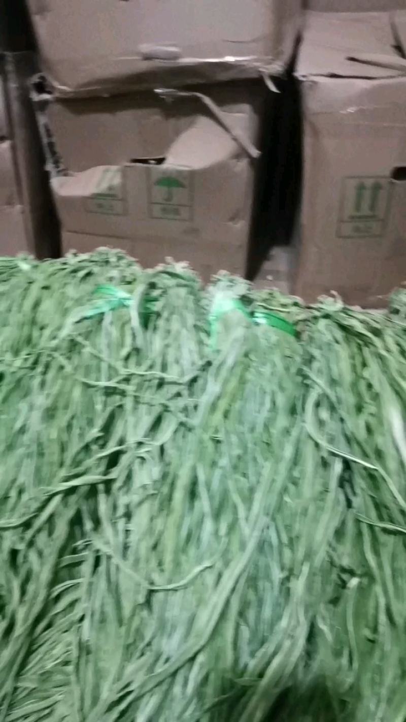 贡菜，味道和海蜇一样的贡菜，产地直销，量大从优