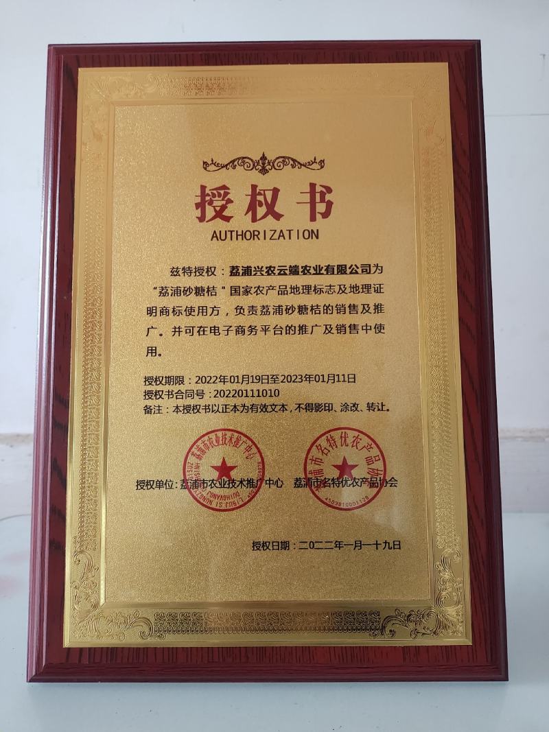荔浦砂糖桔30-40果径特级精品5斤包邮新鲜采摘品质保证
