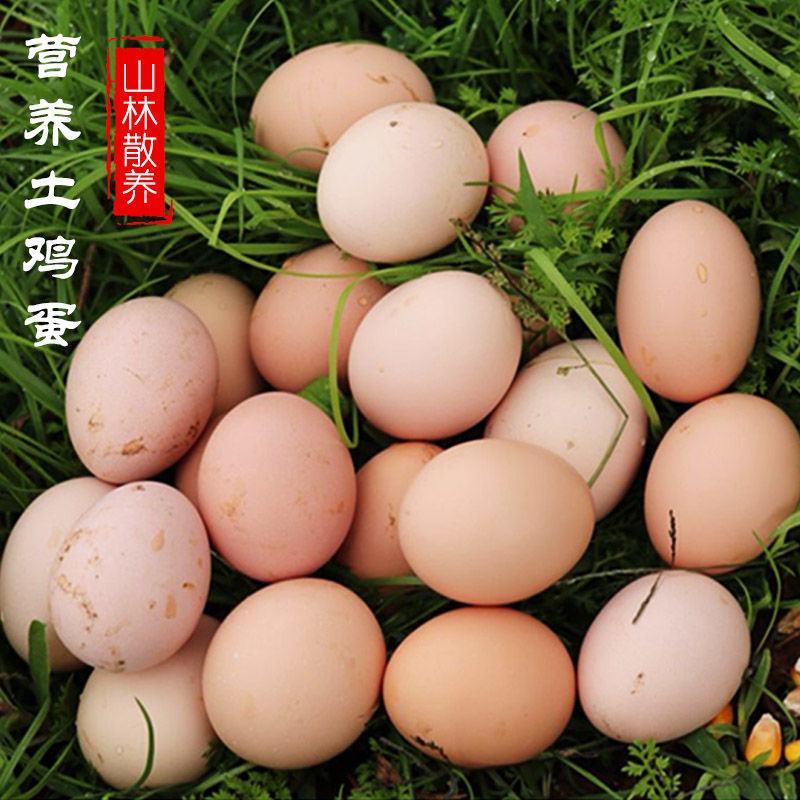 【产地直】新鲜土鸡蛋散养新鲜草鸡蛋农家柴鸡蛋包邮