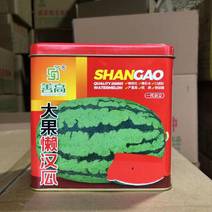 大果懒汉瓜，一代杂交瓤色红果型大口感好产量高抗病耐运输