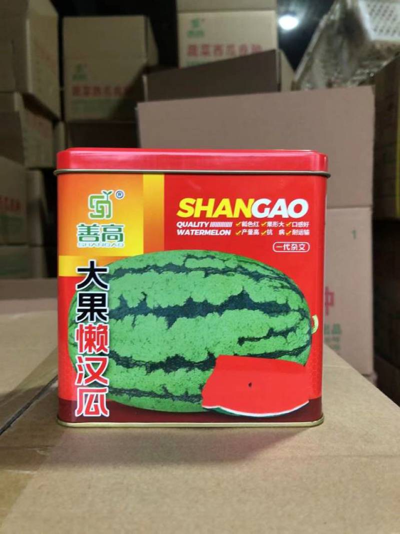 大果懒汉瓜，一代杂交瓤色红果型大口感好产量高抗病耐运输