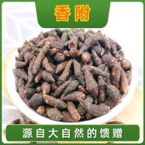高品质中药材香附生香附子野生香附香附片香附子