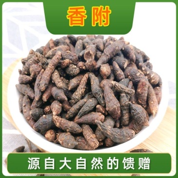 高品质中药材香附生香附子野生香附香附片香附子