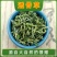 珍珠透骨草中药材正品凤仙透骨草泡脚颈椎可透骨草粉中