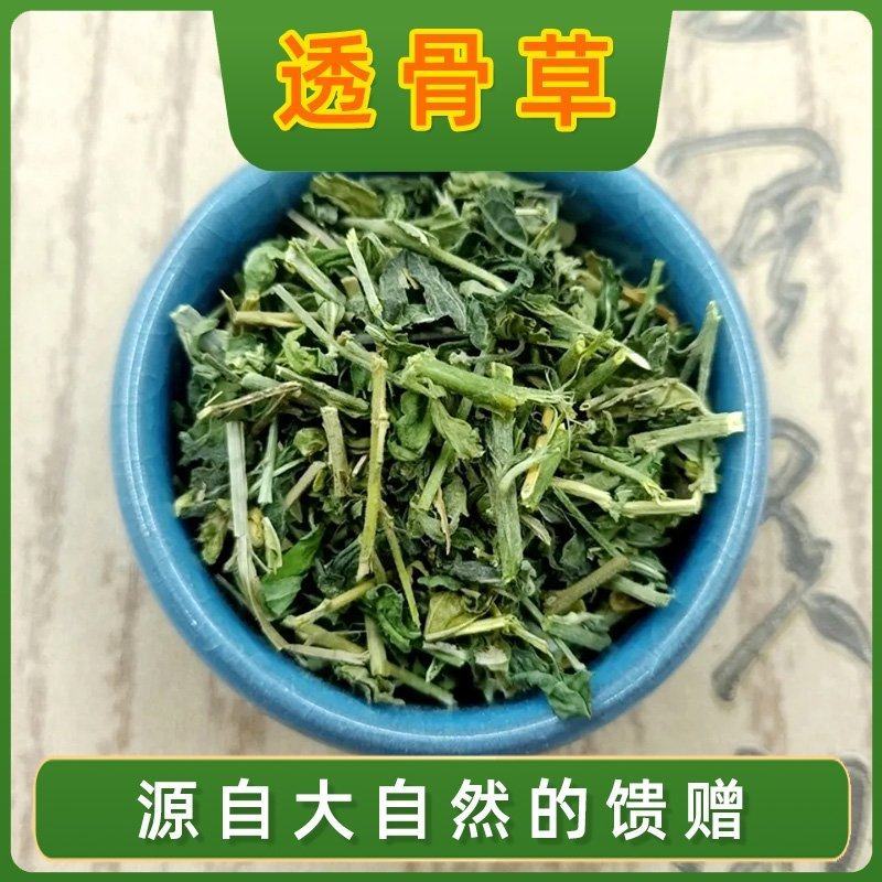 珍珠透骨草中药材正品凤仙透骨草泡脚颈椎可透骨草粉中