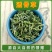 珍珠透骨草中药材正品凤仙透骨草泡脚颈椎可透骨草粉中