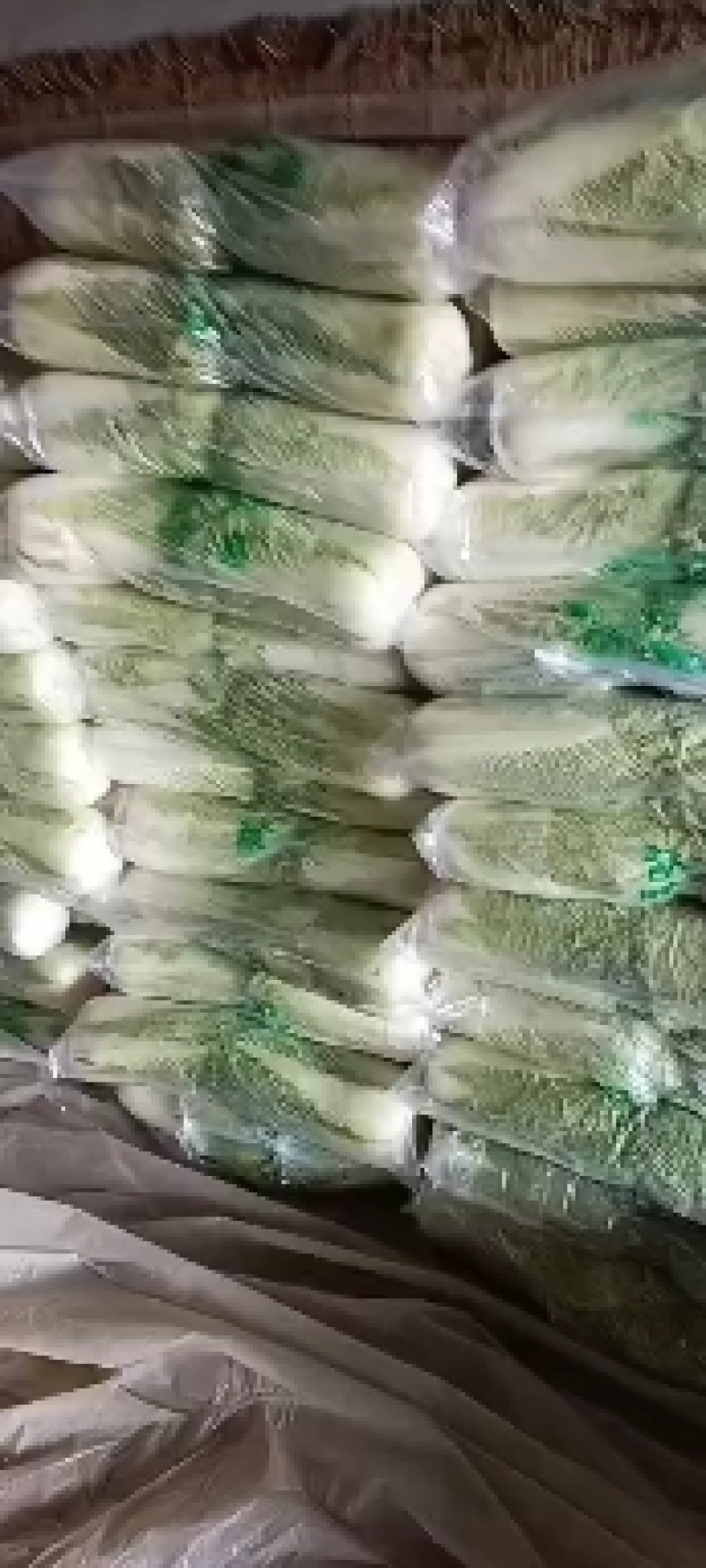 北京三号优质白菜，精品白菜量大从优服务至上