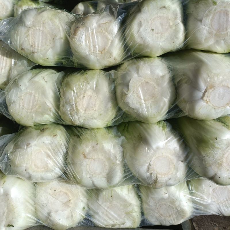 北京三号优质白菜，精品白菜量大从优服务至上