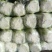 北京三号优质白菜，精品白菜量大从优服务至上