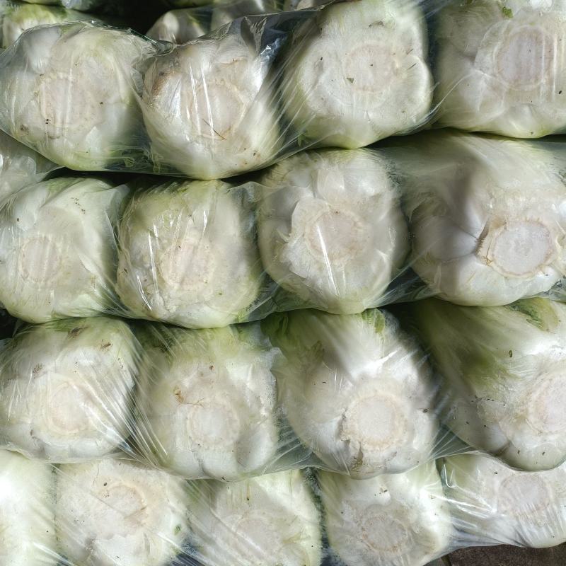 北京三号优质白菜，精品白菜量大从优服务至上