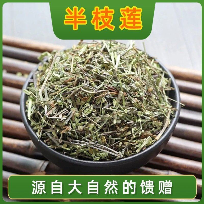中药材干净半支莲半枝莲挖耳草通经草四方草牙刷草