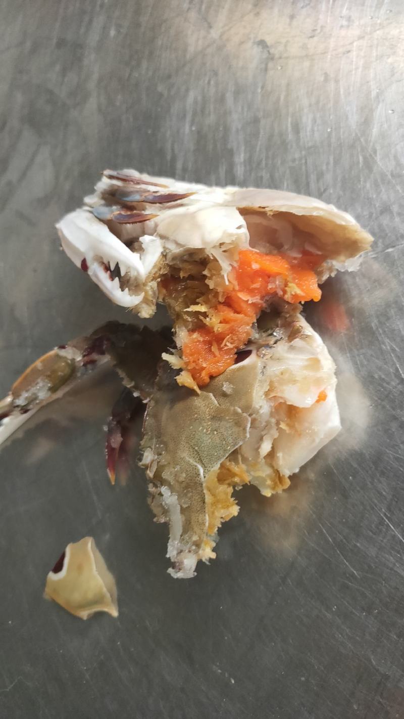 红膏蟹膏蟹蟹黄红膏三点蟹冻厂直销
