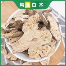 中药材白术白术片白术粉生白术搭茯苓