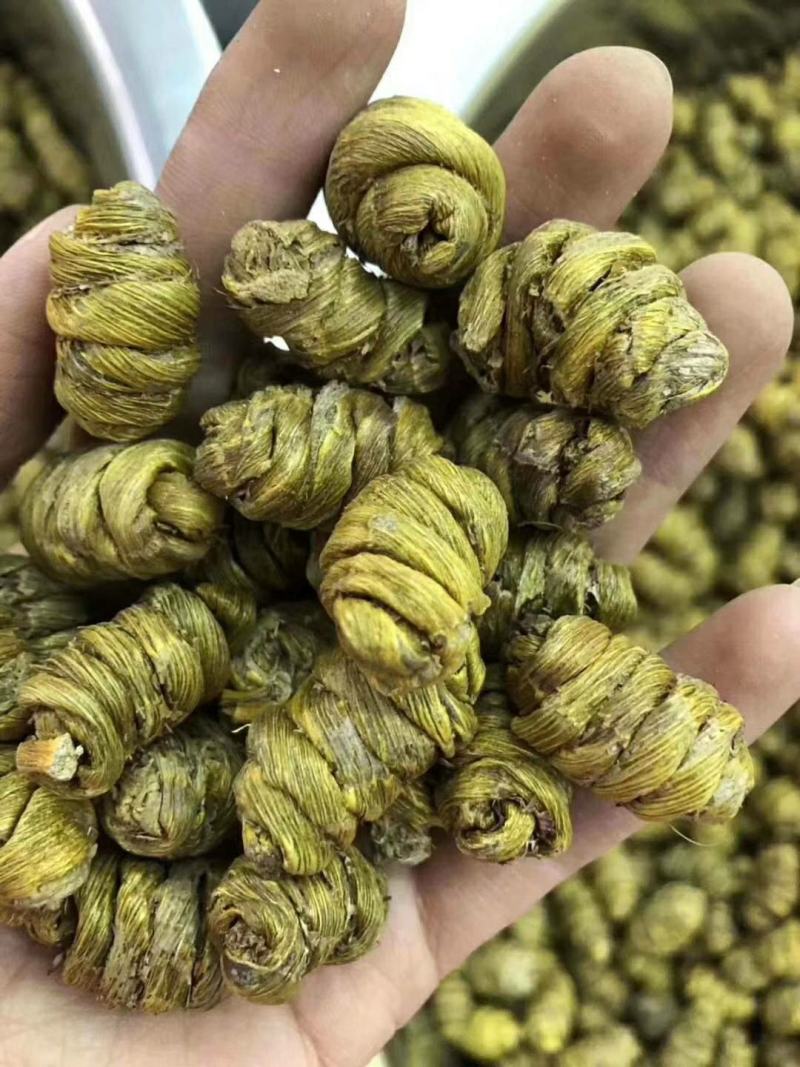 纯原铁皮石斛，铁皮石斛北有虫草，南有石斛的美称包邮全