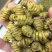 纯原铁皮石斛，铁皮石斛北有虫草，南有石斛的美称包邮全