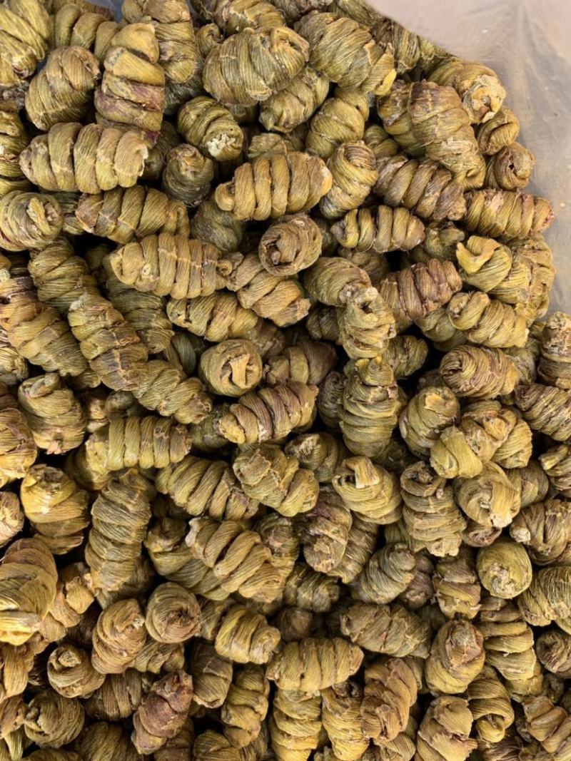 纯原铁皮石斛，铁皮石斛北有虫草，南有石斛的美称包邮全