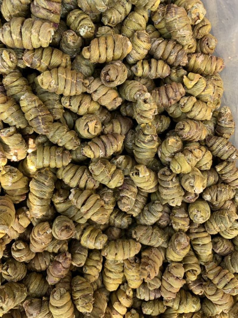 纯原铁皮石斛，铁皮石斛北有虫草，南有石斛的美称包邮全