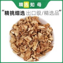 知母中药材知母肉中草药之母根片知母泡茶知母粉之母片