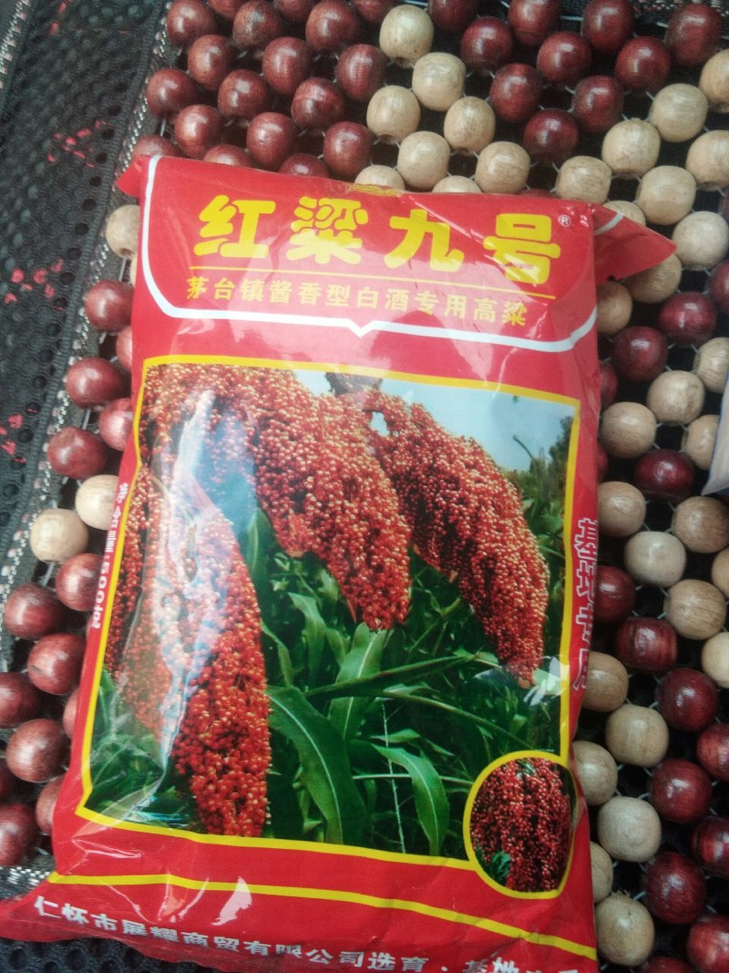 高粱