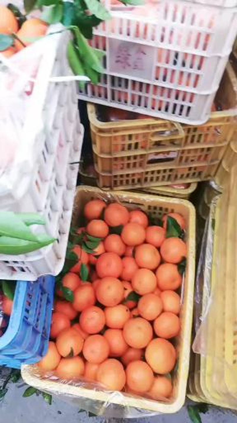 精品，可挑选大量上市，货源充足
