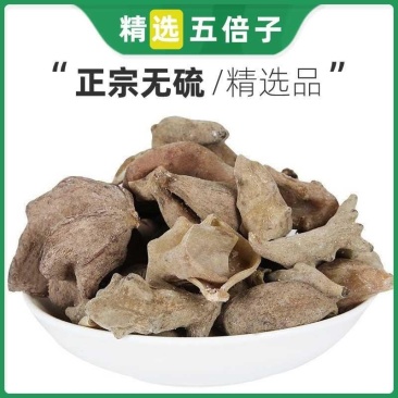 五倍子天然纯新货药材中百虫仓肚倍