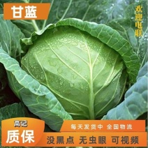 2022年新品上市，云南省曲靖市陆良县精品优质小甘蓝
