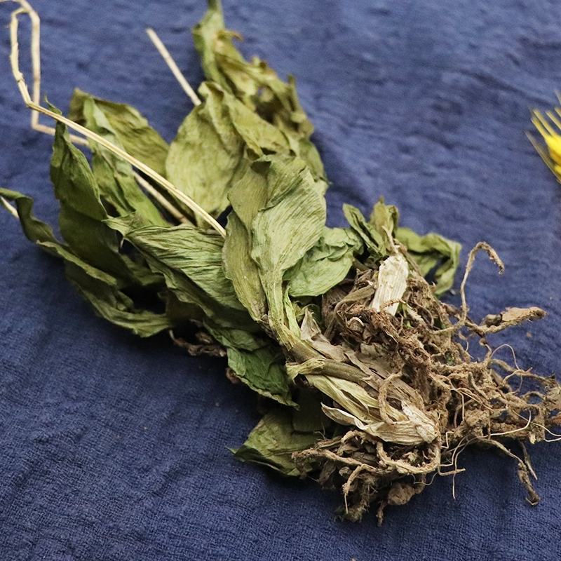 见血清克羊耳蒜见血青全株立地好新鲜干货天然