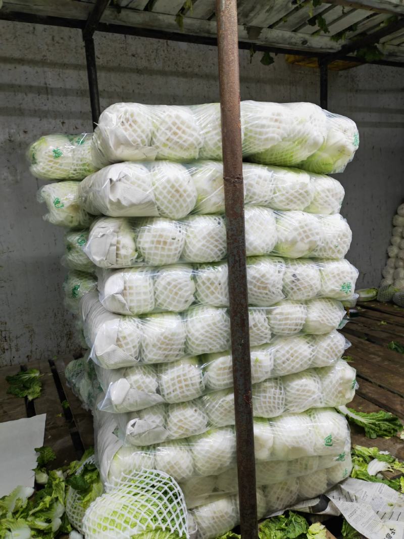 云南精品优质黄心大白菜冷库精包装，净菜走车