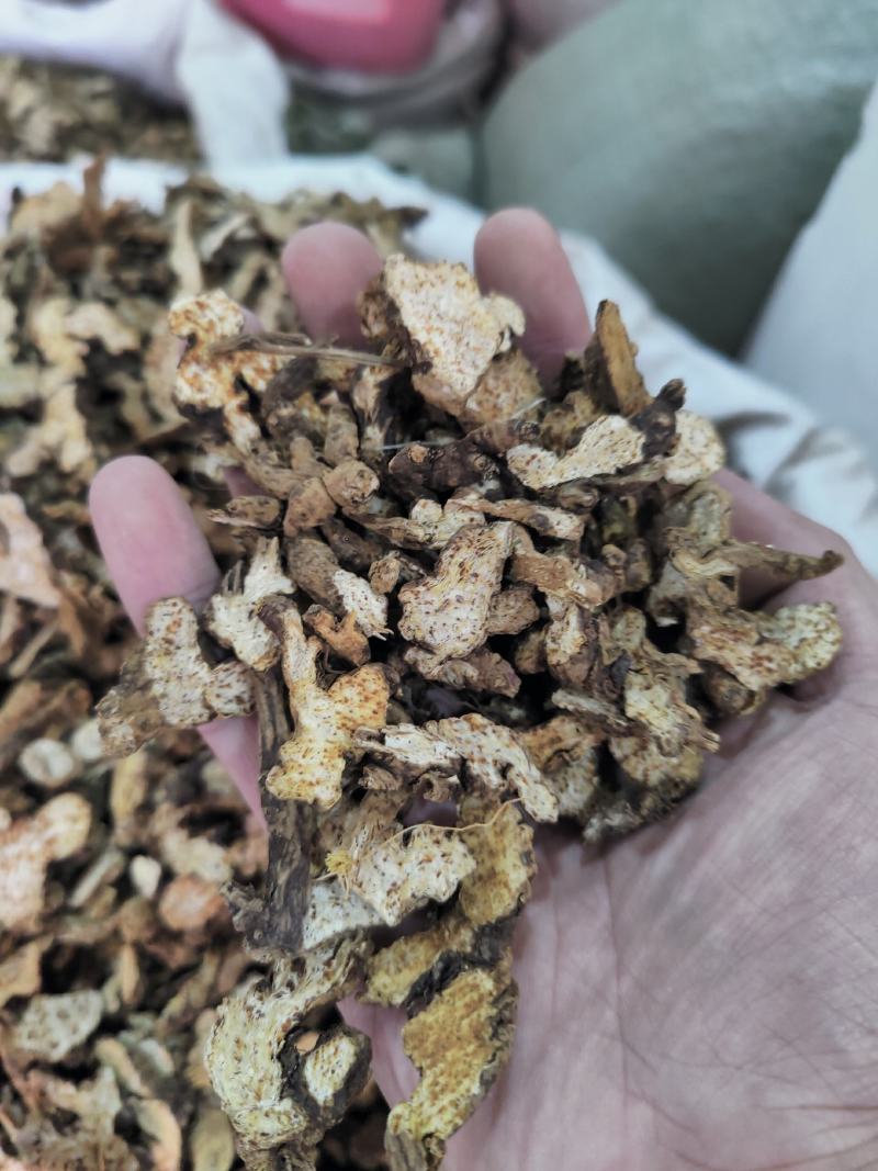 中药材批发苍术苍术野生内蒙茅苍术正品仓术
