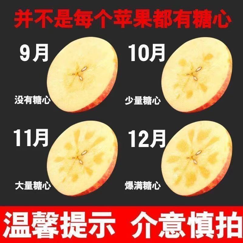 【一件代发】云南四川山西丑苹果当季新鲜苹果水果整箱包邮
