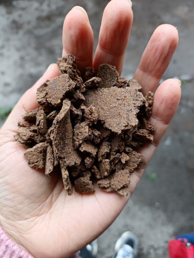 优质茶麸片清塘消毒洗碗洗头做肥料价格便宜肥效持久厂家现货
