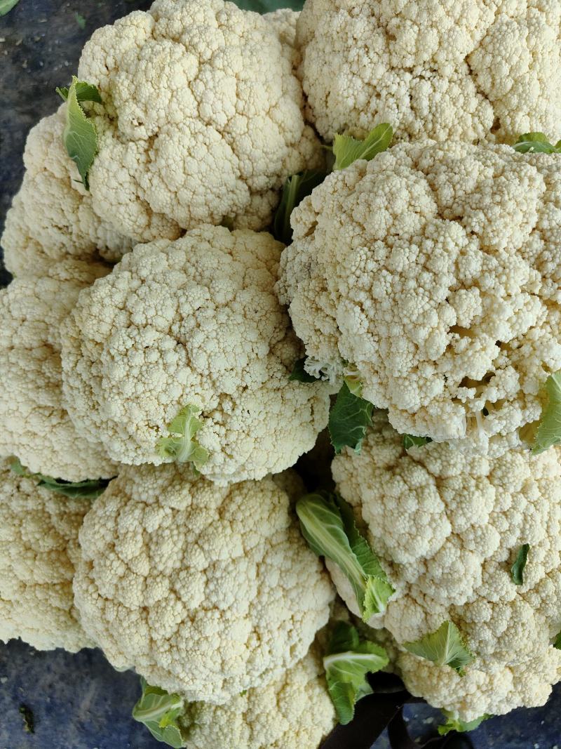 有机菜花2斤松散，适合发市场，加工厂，烘干厂