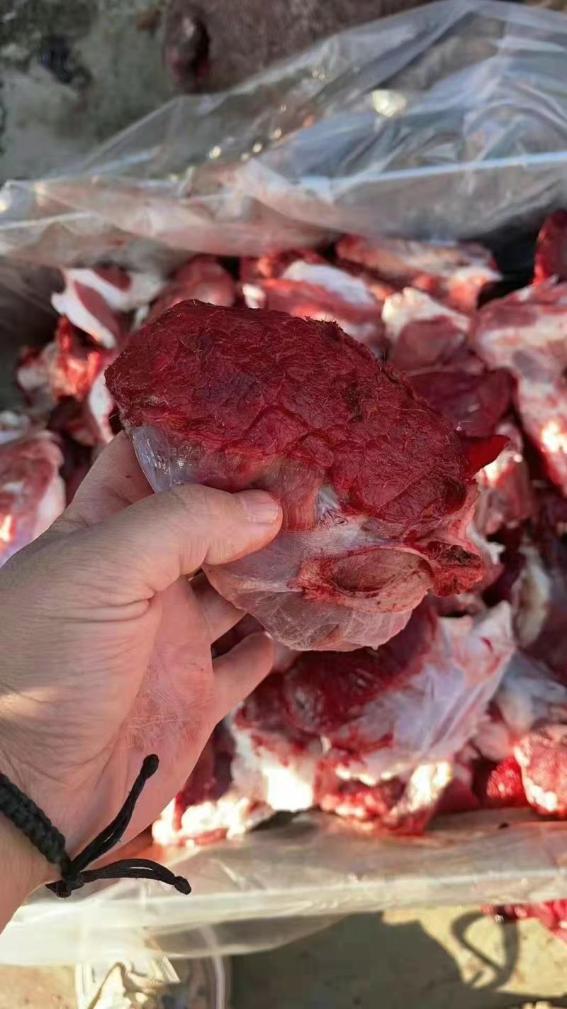 精品牛肉块，可炖，可炒，鲜冻发货，大量供应。