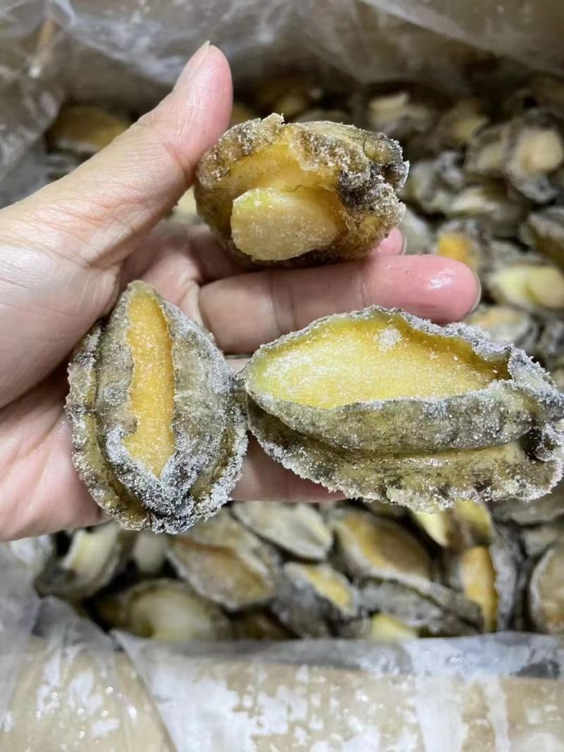 鲍鱼【海头厂家】鲍鱼肉冻鲍鱼鲍鱼净肉海头直发