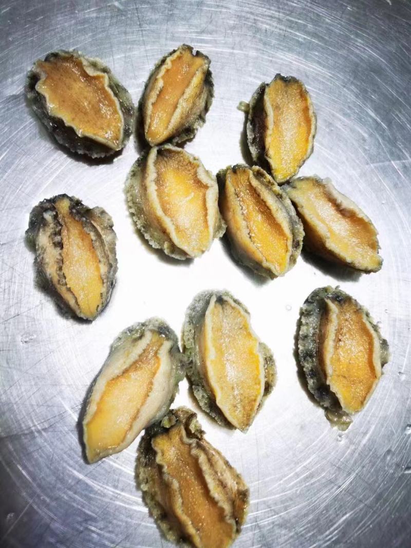 鲍鱼【海头厂家】鲍鱼肉冻鲍鱼鲍鱼净肉海头直发
