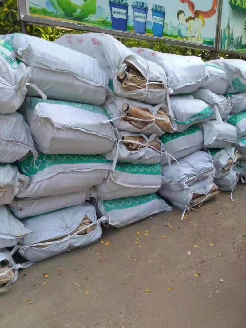 【产地降价】预售甘蔗种包种植技术广西黑皮甘蔗种苗