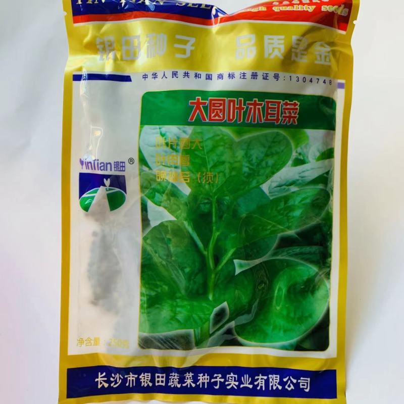 大圆叶木耳菜种子四季蔬菜种子大叶木耳菜种籽耐热耐湿耐抽