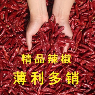 农家1斤5斤新干辣椒香辣微辣特辣辣椒段红辣椒朝天椒