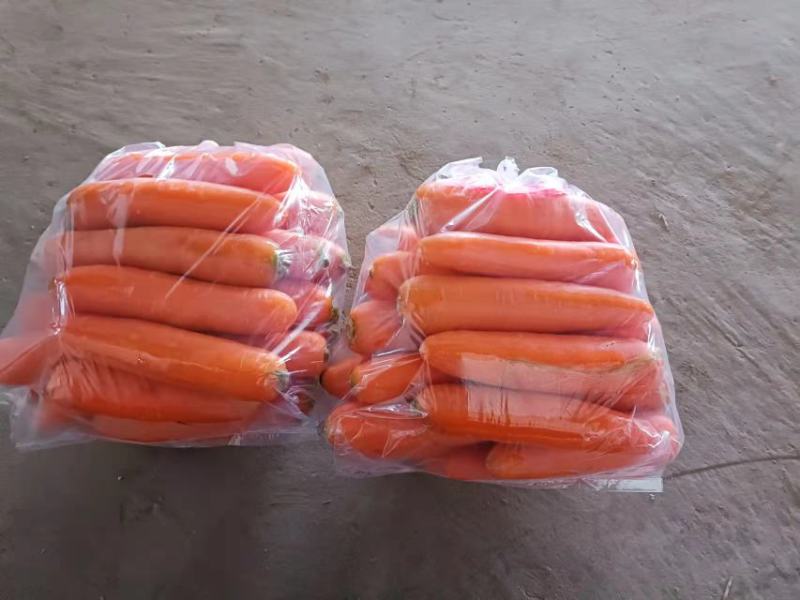 胡萝卜，个头匀称，新鲜脆甜