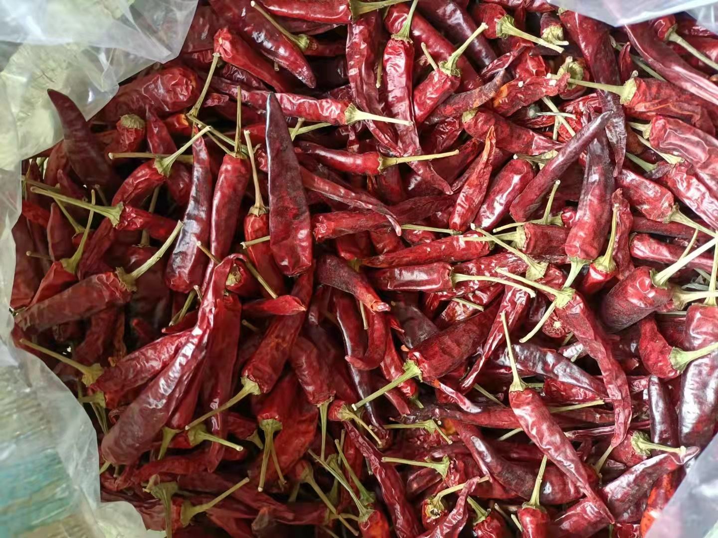 红椒与腊五花肉原材料摆盘图,背景干净明亮 腊肉与红椒原材料展示