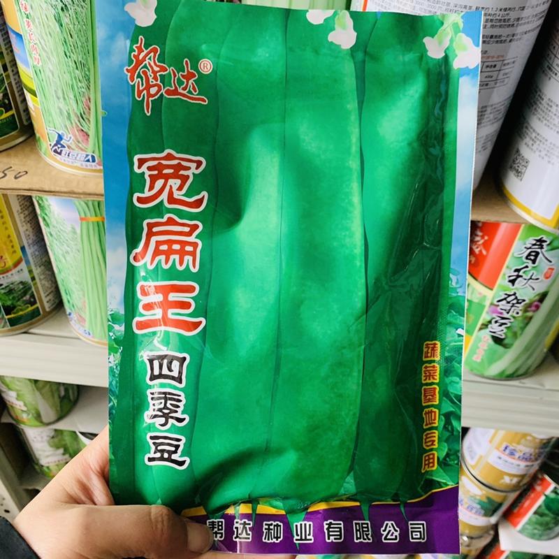 抗病宽荚四季豆种子宽扁王菜豆架豆种子，早熟耐老化基地专用