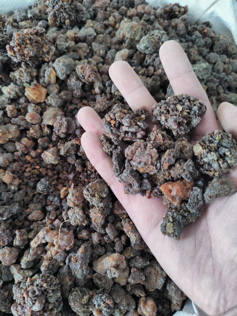 正品天然没药珠中药材野生生没药没药洋洋药业正品中药材