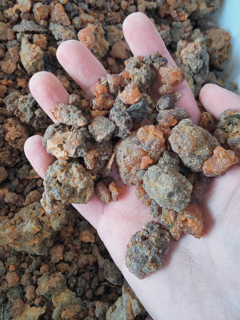 正品天然没药珠中药材野生生没药没药洋洋药业正品中药材