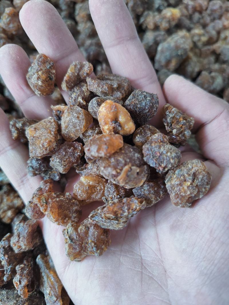 正品天然没药珠中药材野生生没药没药洋洋药业正品中药材