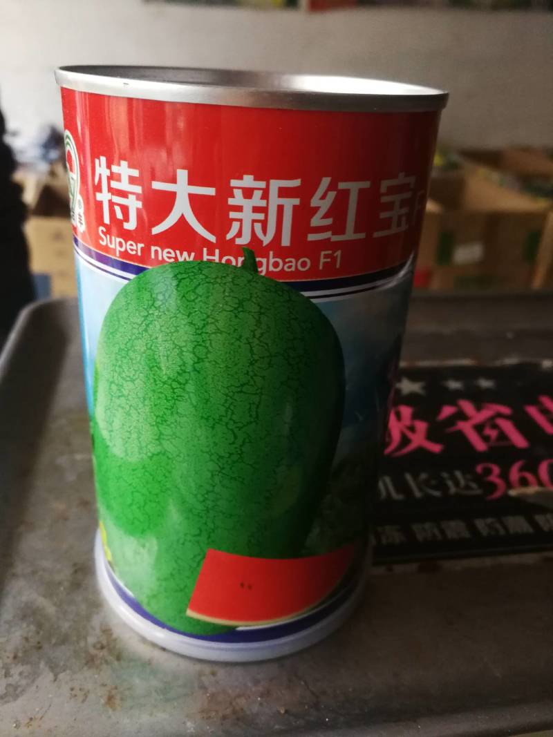 特大新红宝西瓜种孑大果少籽含糖量高。
