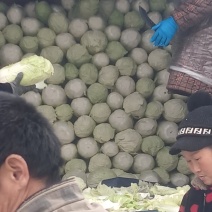 冷库新北京三号大量出库中