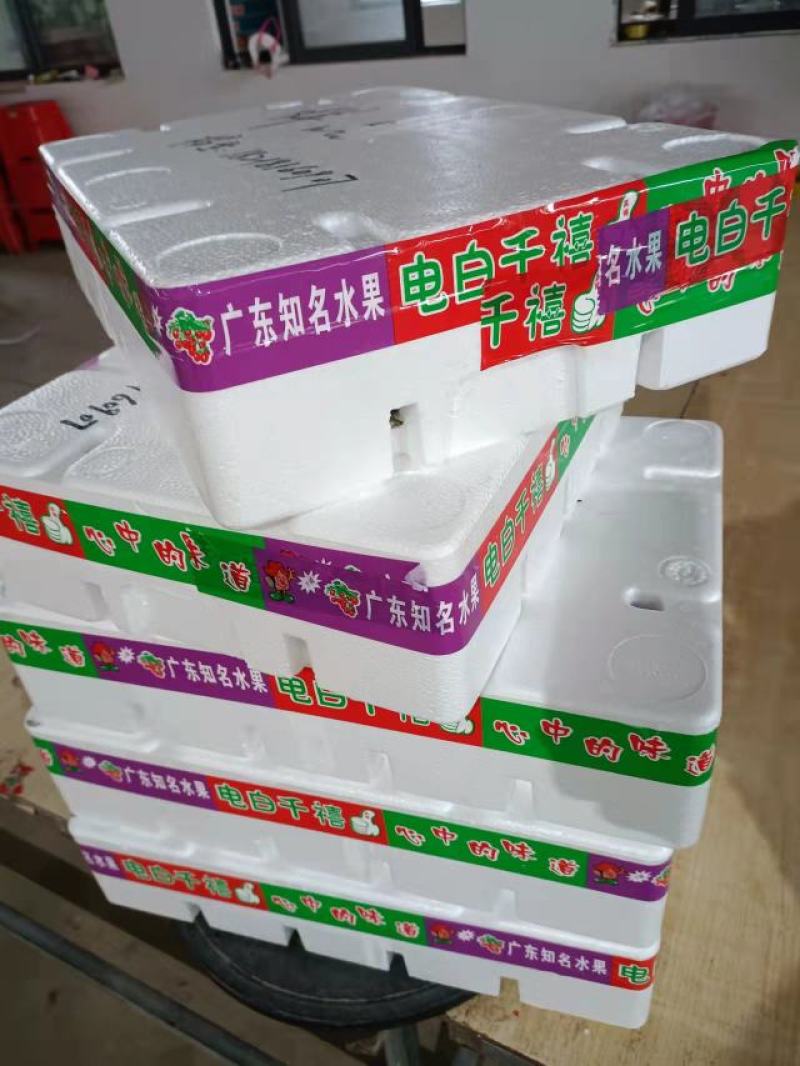 正宗电白老千禧圣女果产地一手货源，电商团购，专业代收