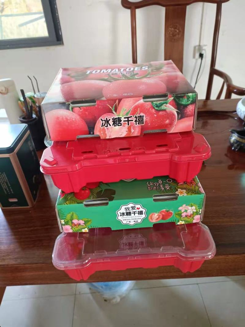 正宗电白老千禧圣女果产地一手货源，电商团购，专业代收