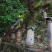 蜂蜜【产地】农家自产土蜂蜜深山土蜂蜜多规格包邮