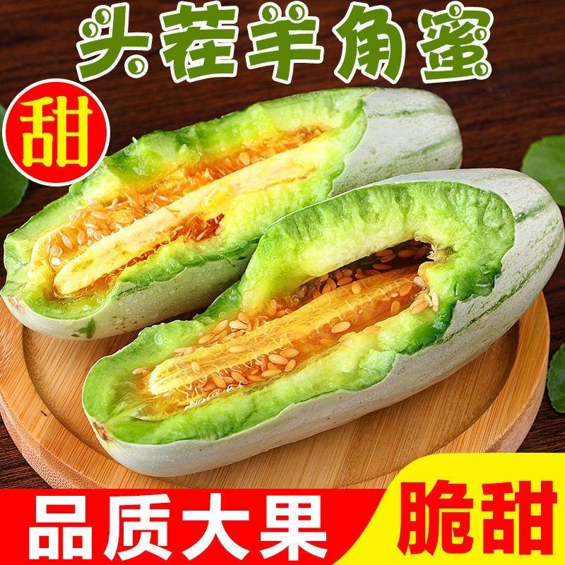 山东潍坊精品甜瓜羊角蜜甜瓜产地直发货量充足量大从优